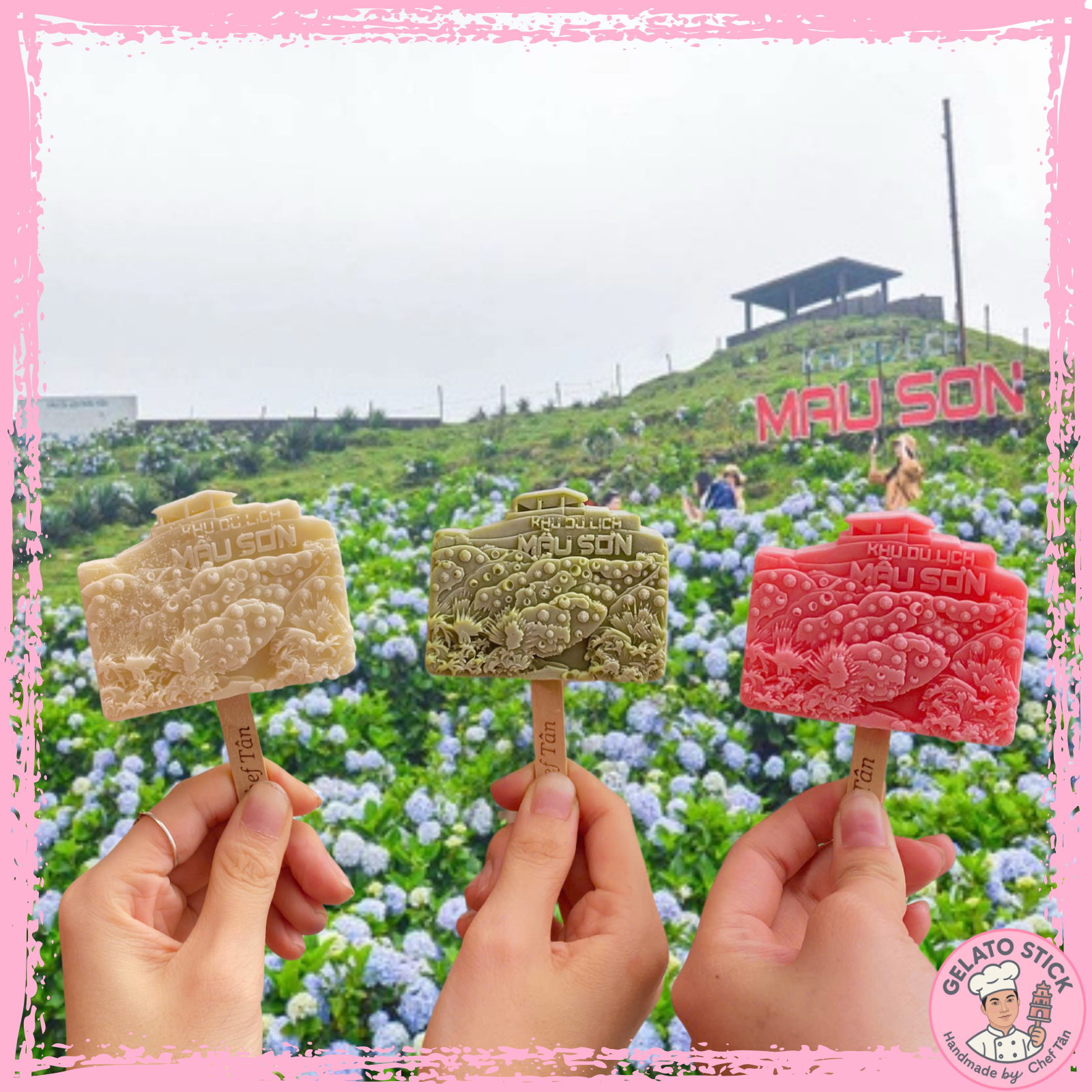 Vườn Hoa Cẩm Tú Cầu